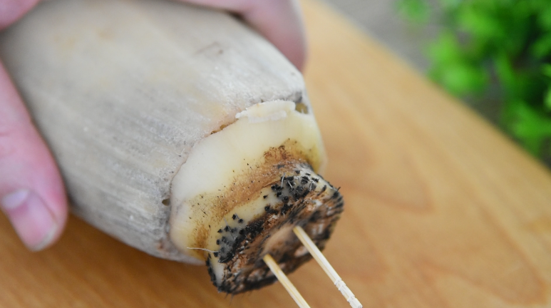 正宗“桂花糖藕”的做法,香甜软糯,用数根牙签固定,防止糯米掉出