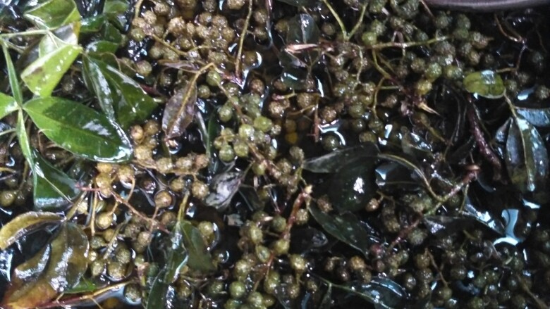 超下饭拌面百搭开胃料——云南炸菌子(油鸡枞),自制花椒油:热锅烧油,待高温有油烟时放入青花椒,再立马用盖子盖住,关火静置。