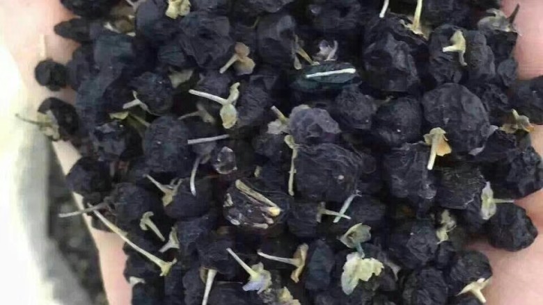 【百信源】鲜炖黑枸杞燕窝,新疆青海特级黑枸杞🍇