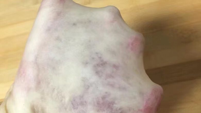 一次发酵吐司面包,揉面程序结束后,面团能扯出薄膜为准