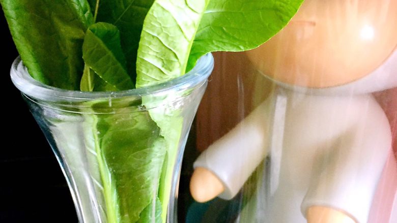 稻荷寿司,时令蔬菜我用的小松菜、洗净,过一下水