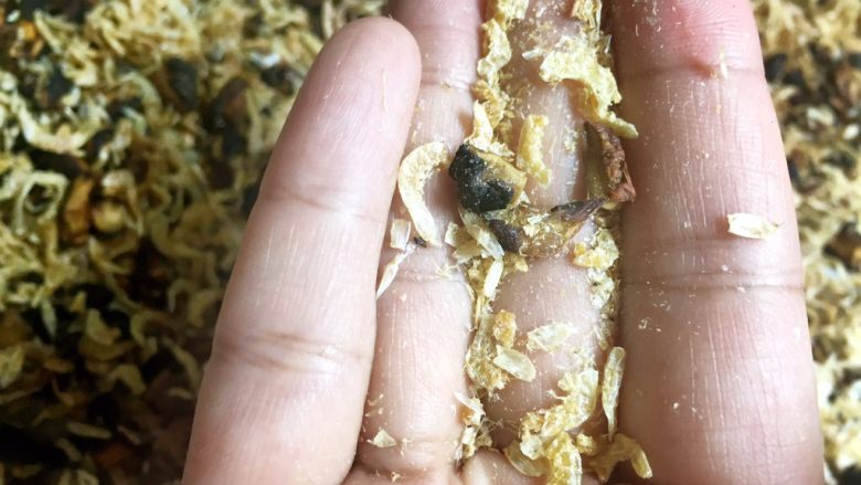 (天然味精)香菇虾米粉,虾米烤到手一捻就碎的程度