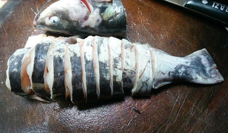 学会鱼肉的这种新吃法,吃一口就停不下来!,将处理干净的鱼肉切块备用。(可以切的大块一些,如果刀工好切成薄片可以可以的哦)