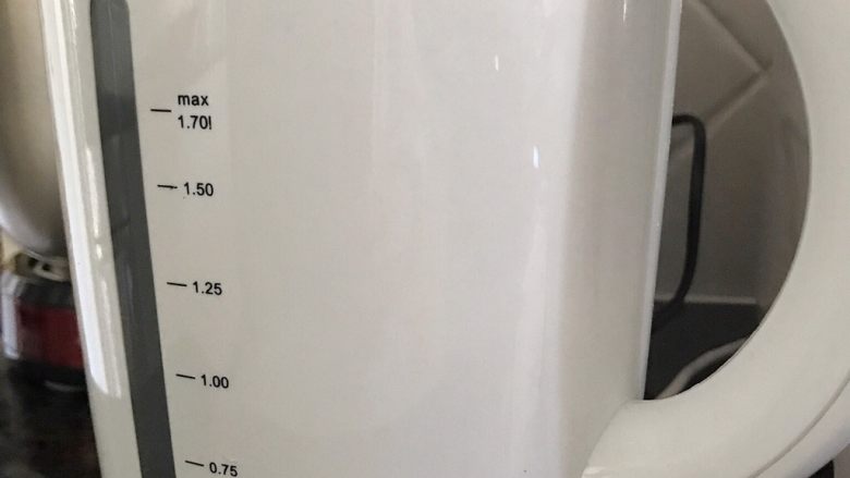 木瓜炖蟲草花肉骨汤,接着煮一壶开水(1.7Ltr)