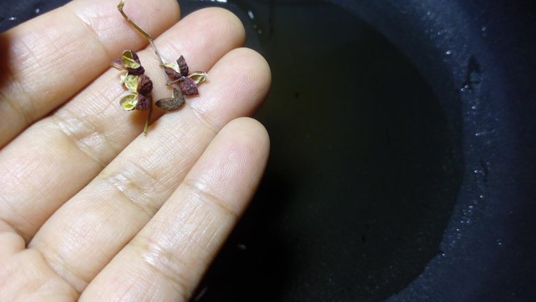 麻辣椒盐豆饼,锅内倒油约半碗,因为豆饼并不太吸油,实际消耗的油并不多。微热后,开小火,放入几粒花椒。