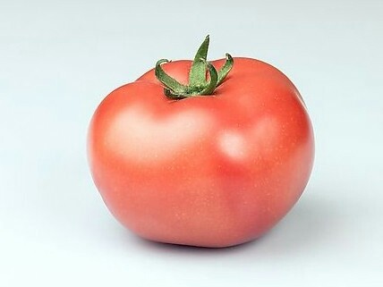 西红柿炒茄子,<a style='color:red;display:inline-block;' href='/shicai/ 3554'>彩椒</a>去蒂去籽切成块,放置锅中也干煸一下盛在碗里备用。
