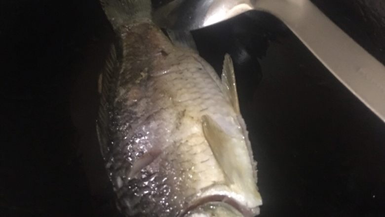 虾汁蔬菜疙瘩鱼汤面 宝宝辅食12M+,锅中倒入适量油烧热,放入鲫鱼煎至鱼身表面煎黄
