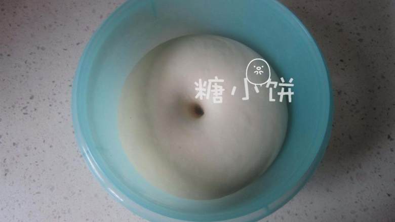 荷叶形刈包,表面盖上保鲜膜或者湿纱布以保持水分,放在温暖的地方进行第一次发酵.发酵时间根据环境状况会有不同。30℃左右是比较适合的温度,宁可低些也不要过高发酵程度的判断:中间用手指戳一个孔(如图)戳下去的地方如果很快弹回来的话说明发酵时间不足孔周围的面团反而塌下去(感觉像气跑掉了一样)说明发酵过度如果没有回弹也没有塌陷的话说明发酵程度正好。此时就可以进行下一步操作