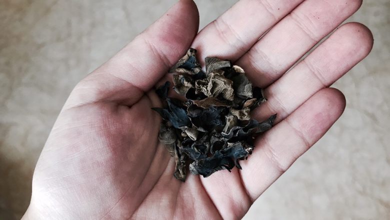 香菇茄子焖面,云耳准备好,提前三十分钟泡发