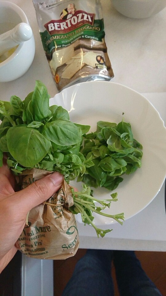 意大利绿酱面,摘下罗勒的嫩叶,因为是叶子,看着多,实际很轻,需要很多很多。