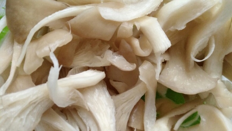 盒豆腐胡辣汤,蘑菇，撕成小份