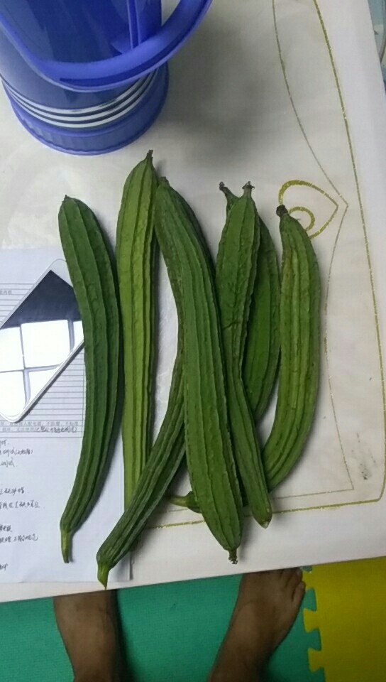 丝瓜炒蛋,邻居家给的自己种的丝瓜，好有爱！