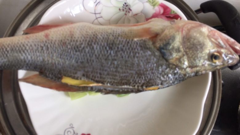 清蒸鲈鱼,蒸锅上气后放上鱼,蒸十分钟