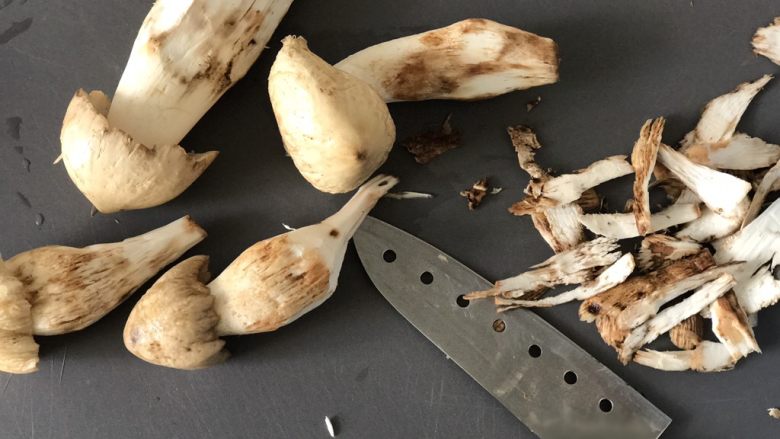 油鸡枞,我看见菌子上黑黑的东西实在觉得挺难受的,会把它用刀子削掉
