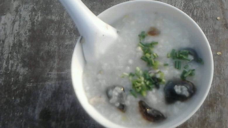 皮蛋瘦肉粥
