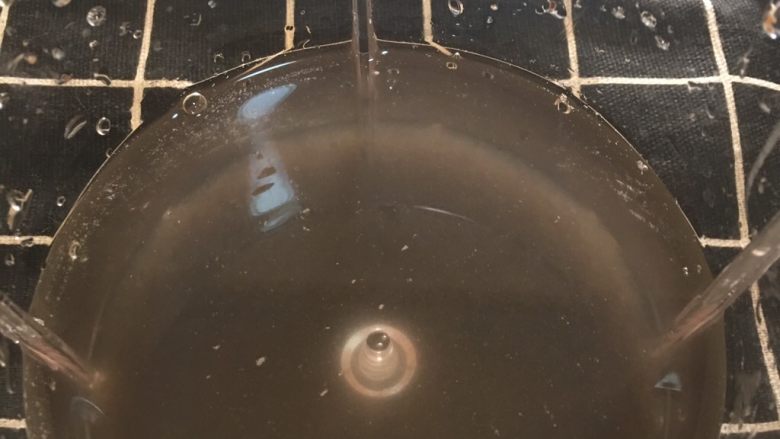 番茄木耳鸡蛋面 宝宝辅食8M+,煮好的的黑木耳加300毫升水打成黑木耳汁。
