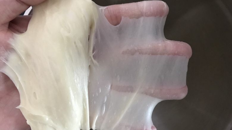 日式面包卷,揉至完全扩展状态,可以扯出薄膜,破洞边缘光滑