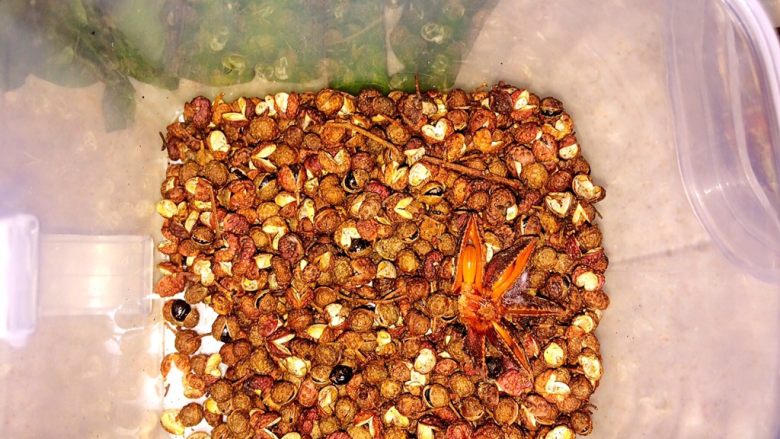 葱油,<a style='color:red;display:inline-block;' href='/shicai/ 134659'>花椒粒</a>,八角