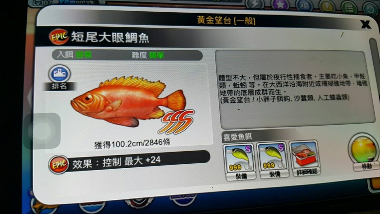 鹽焗檸檬魚,就是這圖片,老爸真的很幽默耶😅