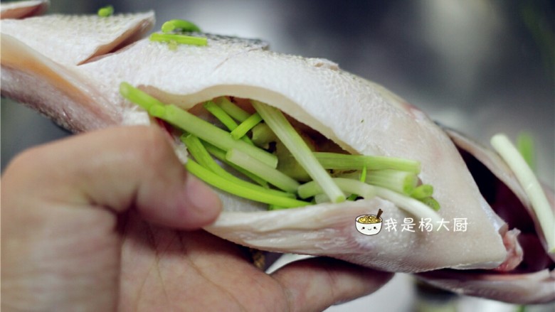 清蒸鲈鱼,鱼肚中摸少许<a style='color:red;display:inline-block;' href='/shicai/ 718'>料酒</a>,填上姜片葱段