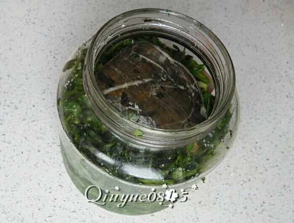 #咸味#腌芫荽,期间可取出石头,用无油筷子翻动一下香菜