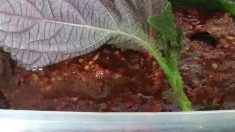 #咸味#美味紫苏叶,最后装盒,放冰箱冷藏,两小时后即可食用。