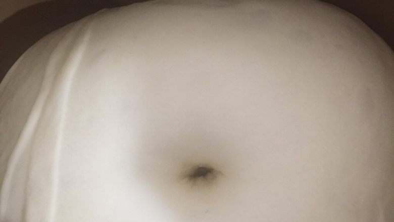 香葱芝士面包,整下面团放进面包机进行一发,发到两倍大或者戳孔不回弹洞口呈肚脐眼状即可