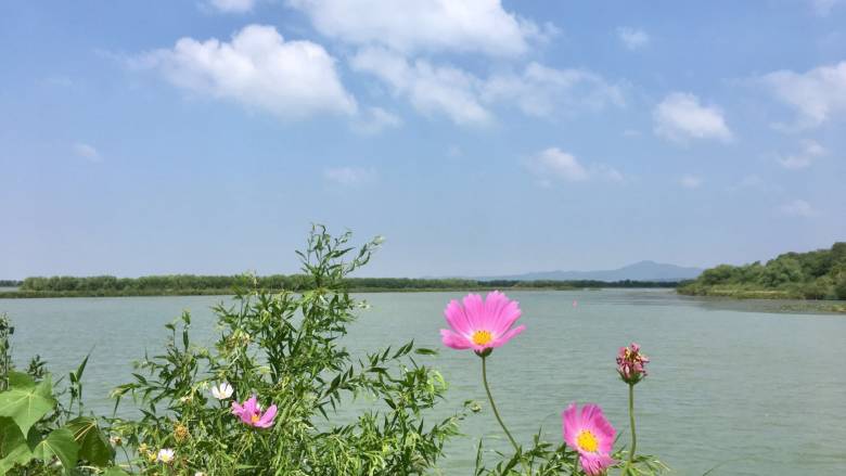 探寻苏州美食之二--三山岛农家菜之太湖三白