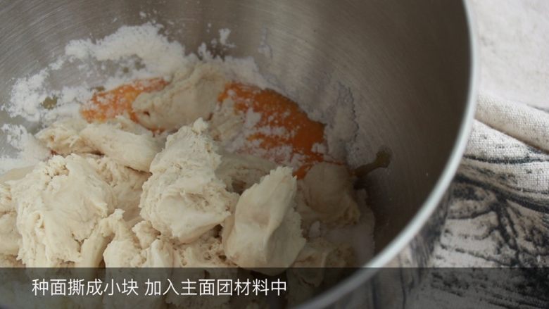 黑芝麻吐司,种面撕成小块 加入主面材料