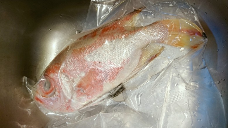 鹽焗檸檬魚,大魚!跟水槽一樣大😏