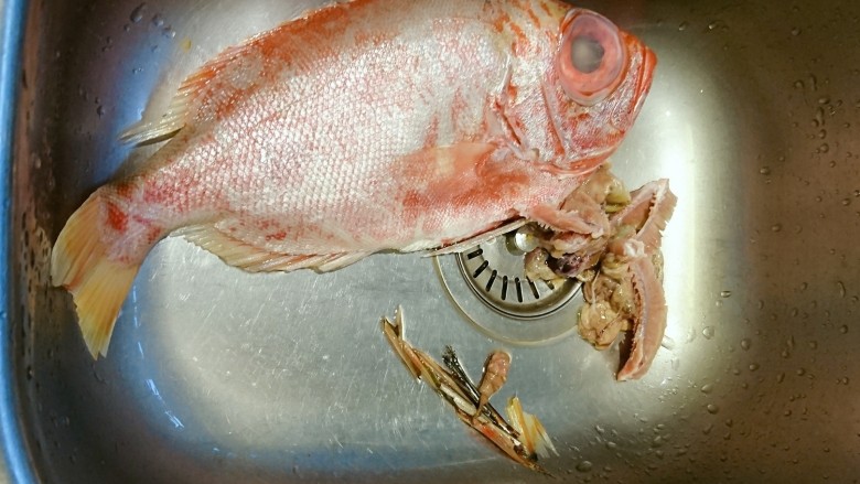 鹽焗檸檬魚,鱗不管,用廚房剪刀把扎人的鰭修掉,剪開肚子掏掉內臟,拉掉魚腮。过程血腥省略圖😆