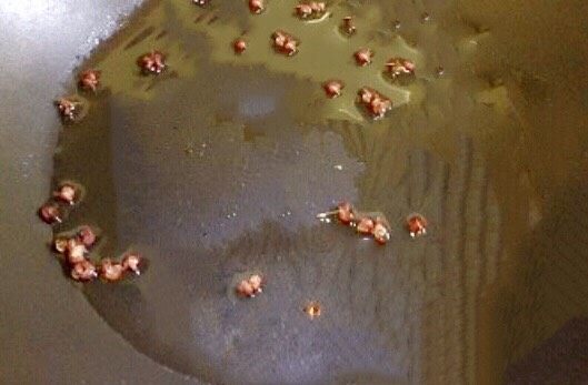 吃豆腐~肉末蒸豆腐,再起锅热油下入少许<a style='color:red;display:inline-block;' href='/shicai/ 134659'>花椒粒</a>炒香,把花椒捞出弃之。