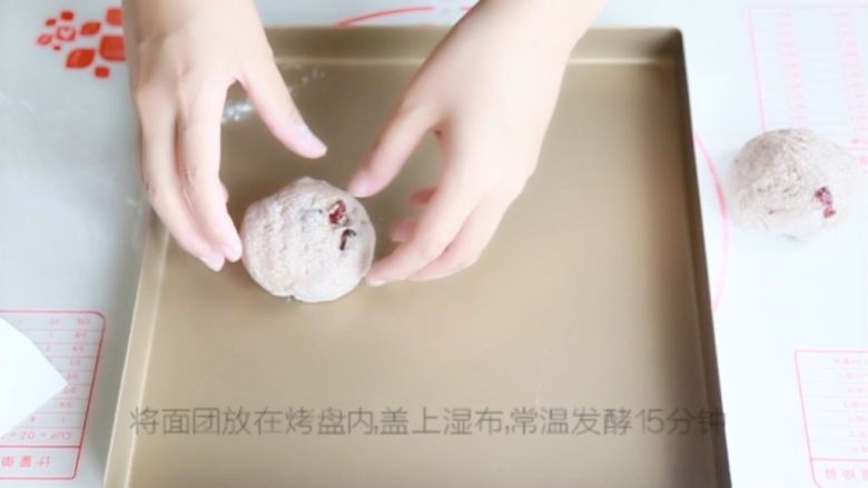 全麦蔓越莓欧包,放在烤盘上,发酵15分钟