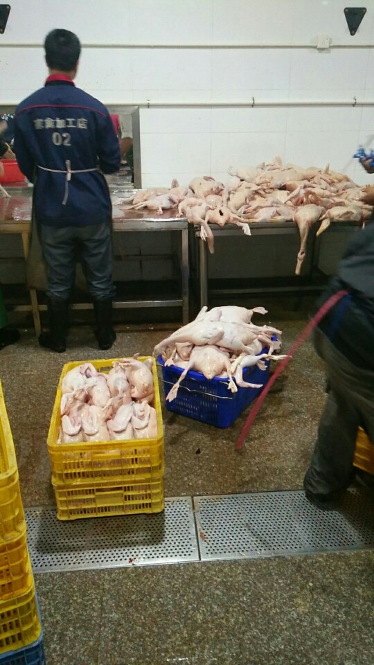 瓦罐烧鸭,挑鸭
