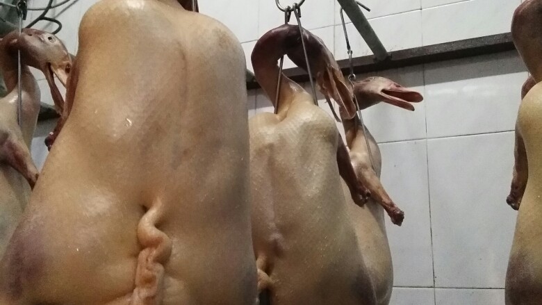 瓦罐烧鸭,把料放鸭肚，风干