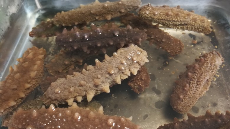 速发海参四步走——
海参那么贵,且泡且珍惜。,倒掉容器里的水,清洗干净。用剪刀剪开海参腹部,两端剪开到头,清除掉白色石膏状态沙头。