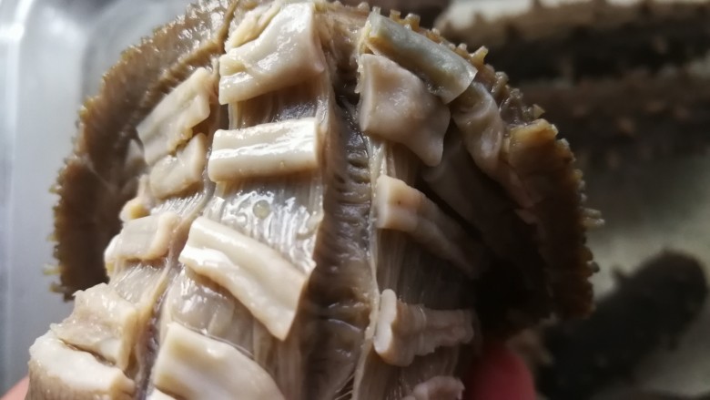 速发海参四步走——
海参那么贵,且泡且珍惜。,腹壁有四五条纵向的筋不要去除,用剪刀剪段或者割成三四段。割开不会影响海参泡大相反会促使泡发变大。