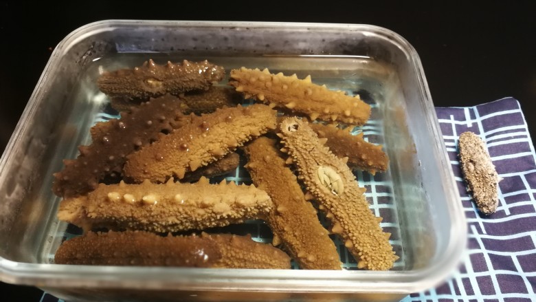 速发海参四步走——
海参那么贵,且泡且珍惜。,这是海参浸泡第二个24小时后的状态。略微膨胀有韧性。