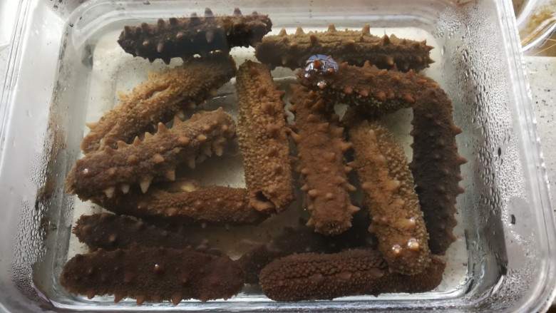 速发海参四步走——
海参那么贵,且泡且珍惜。,
然后换纯净水进冰箱浸泡第二个24小时。