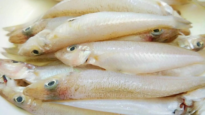 油炸沙尖鱼,<a style='color:red;display:inline-block;' href='/shicai/ 1440'>沙尖鱼</a>去鱼鳞,鱼鳃,内脏洗净备用。