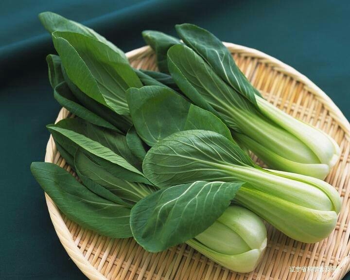 油白菜虾皮粉丝煲,<a style='color:red;display:inline-block;' href='/shicai/ 3494'>油白菜</a>洗净，拦腰砍断，控干水备用；粉丝用水浸泡开装碗里。