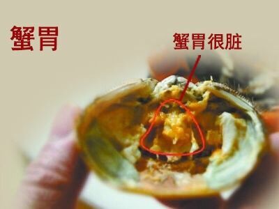 清蒸大闸蟹,河蟹不能吃的四个部位:蟹胃
想吃盘锦正宗稻田蟹
加VX:liye19811202 暗号:吃货 😁😁😁