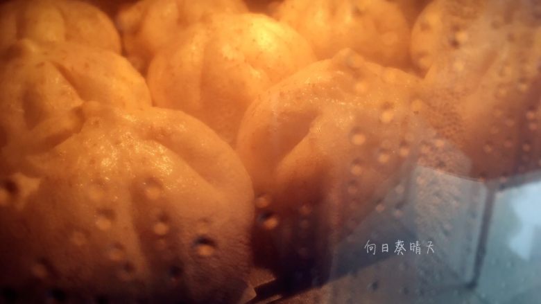 黑椒杂酱燕麦包子,冷水上锅蒸15min左右关火,焖3-5min再揭开锅盖;(我是用蒸烤箱蒸的包子)
