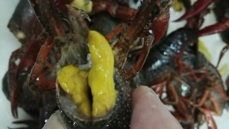 麻辣小龙虾,清洗，留黄去虾线
