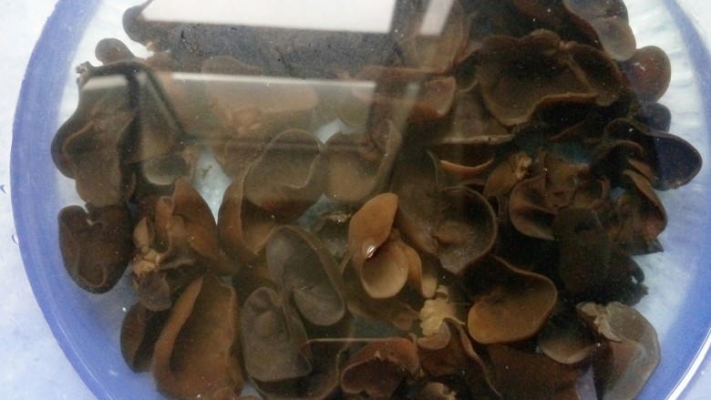 鱼香肉丝,木耳提前一小时泡，一片片洗干净切丝。