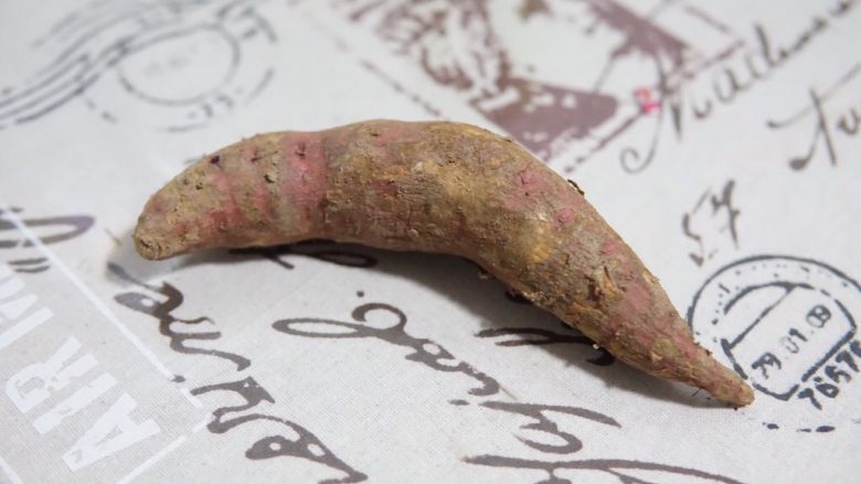 红薯开花馒头,首先制作A面团,准备好一个红薯