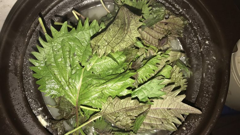 一碗汤 紫苏斑鱼汤,在最后20分钟加入紫苏,盖盖,再次按下快速沸腾键。饮用时适当加点盐。