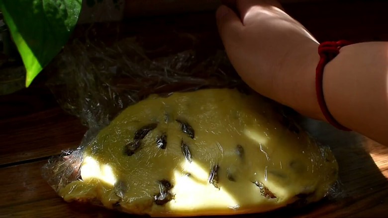 提子酸奶司康饼,用手整一整型,把面团用手压成面饼,放冰箱冷藏30分钟