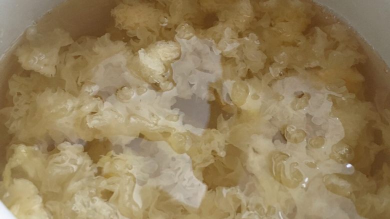 养颜银耳羹,加入没过食材的清水(水量可根据自己喜爱的浓稠度调整)