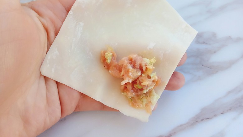 白菜猪肉小馄饨(内附馄饨四种详细包法),馄饨第一种包法,这种包法和四川红油抄手办法一样,在<a style='color:red;display:inline-block;' href='/shicai/ 4453'>馄饨皮</a>的一个角那里放入适量肉馅